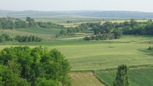 DSC06568_800x451
