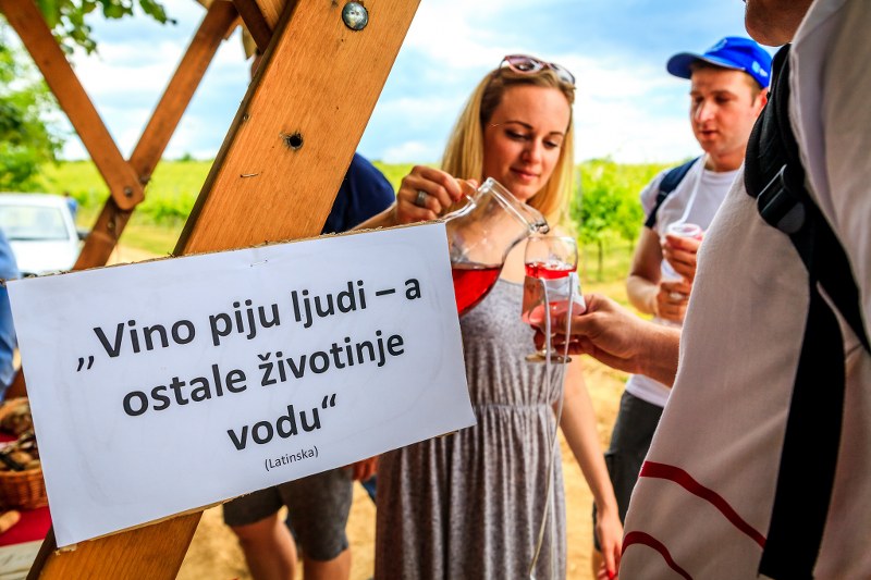 ww16_800x533