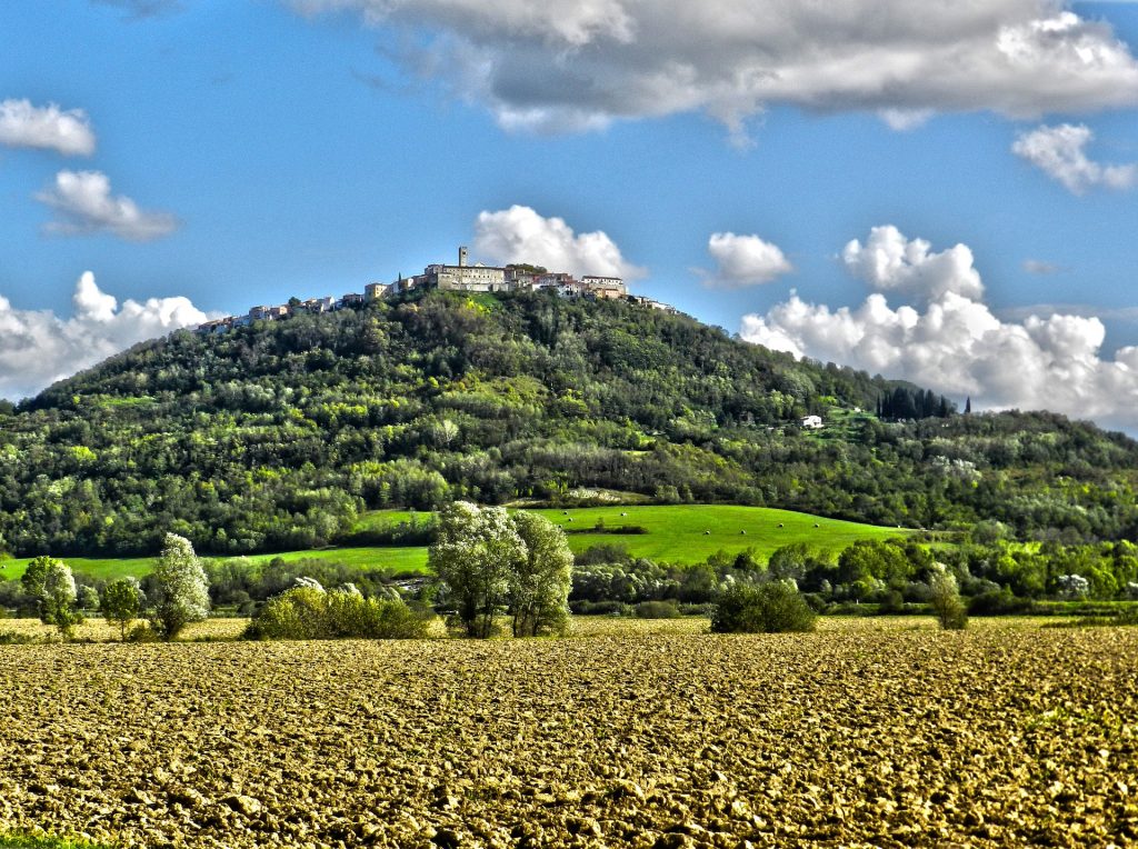 Foto Pixabay_05