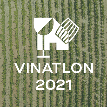 vinatlon-facebook-box
