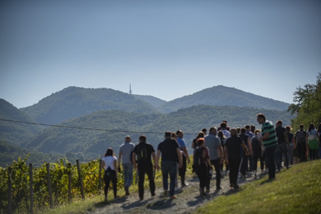 Slavonija i Podravina, wine not_foto Matija Turkalj_09