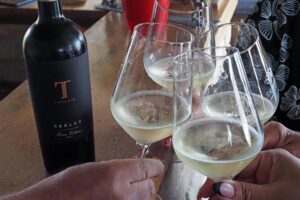 vinarija Trdenić (6)