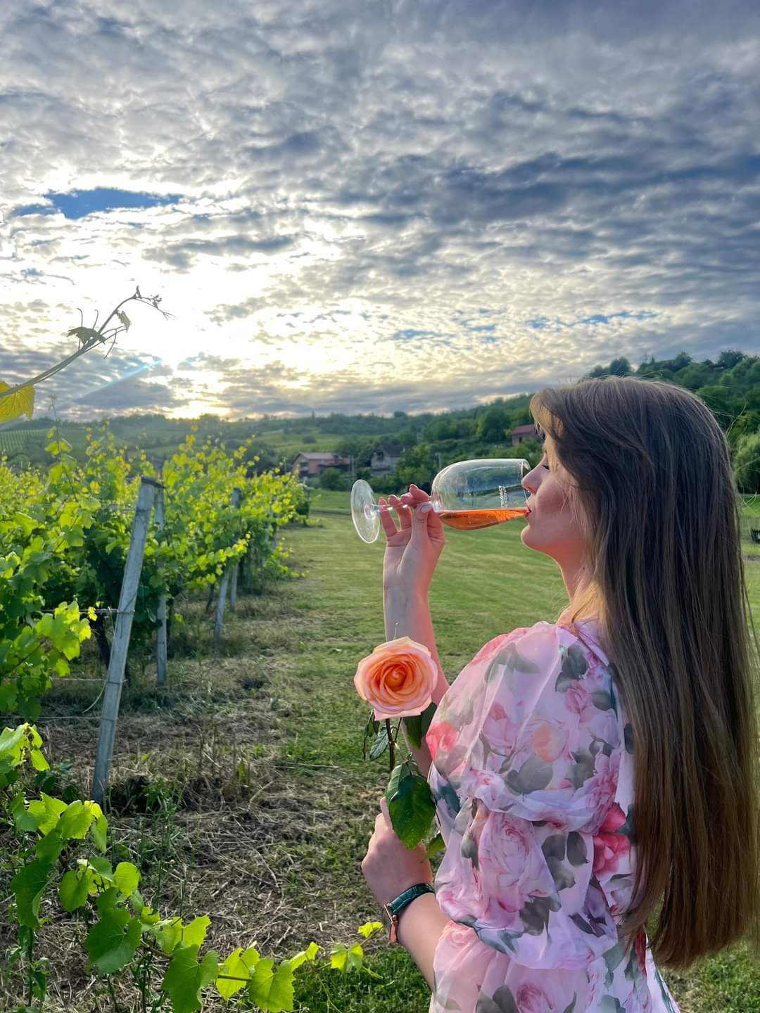 ZALAZAK 2024-Pobjednička fotografija_Emanuela Beronja