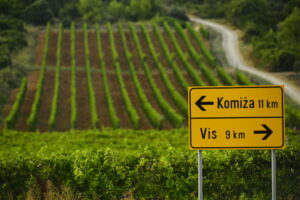 Vis vinogradi i polja TZ VIS (6)
