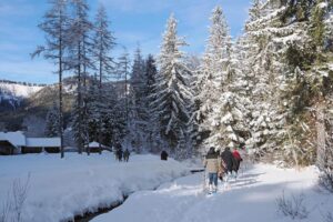 krpljanje (8)
