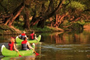 Baranja – krajolik i priroda Zlatne Grede
