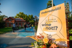 Slavonija i Podravina, wine not2_foto_Matija Turkalj